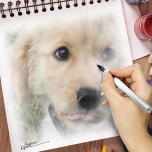 Meet your Posher, Abbey